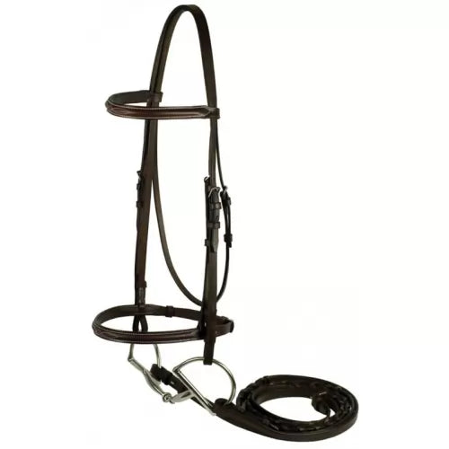 Raised Fancy Stitched Bridle