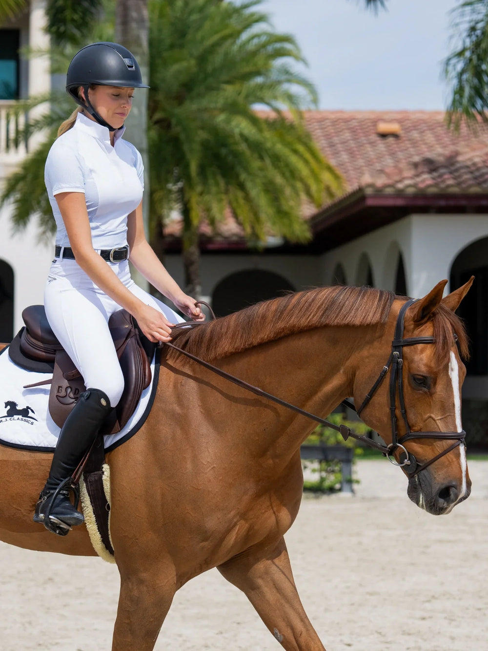 Hayden Front Zip Breech - Equine Exchange Tack Shop