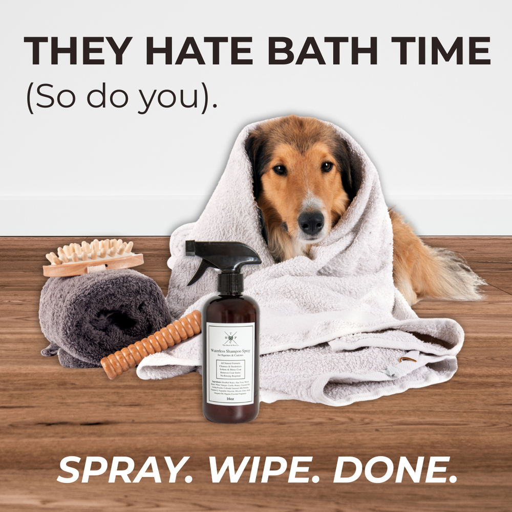 All Natural Waterless Shampoo Spray - For Dogs & Horses - 16oz - Equine Exchange Tack Shop