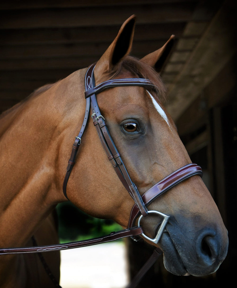 KL Italia Tuscany Bridle - Equine Exchange Tack Shop