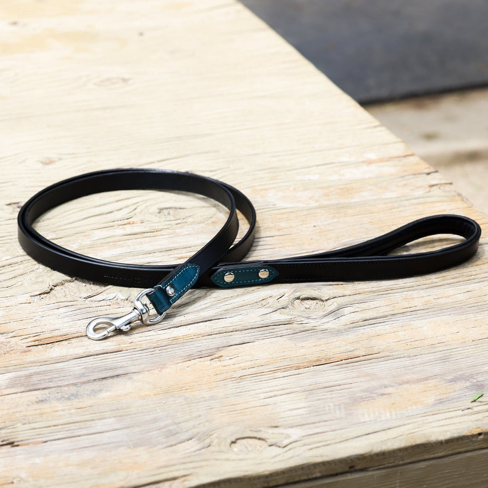 Halter Ego® Metallic Teal Croc Leather Dog Collar - Equine Exchange Tack Shop
