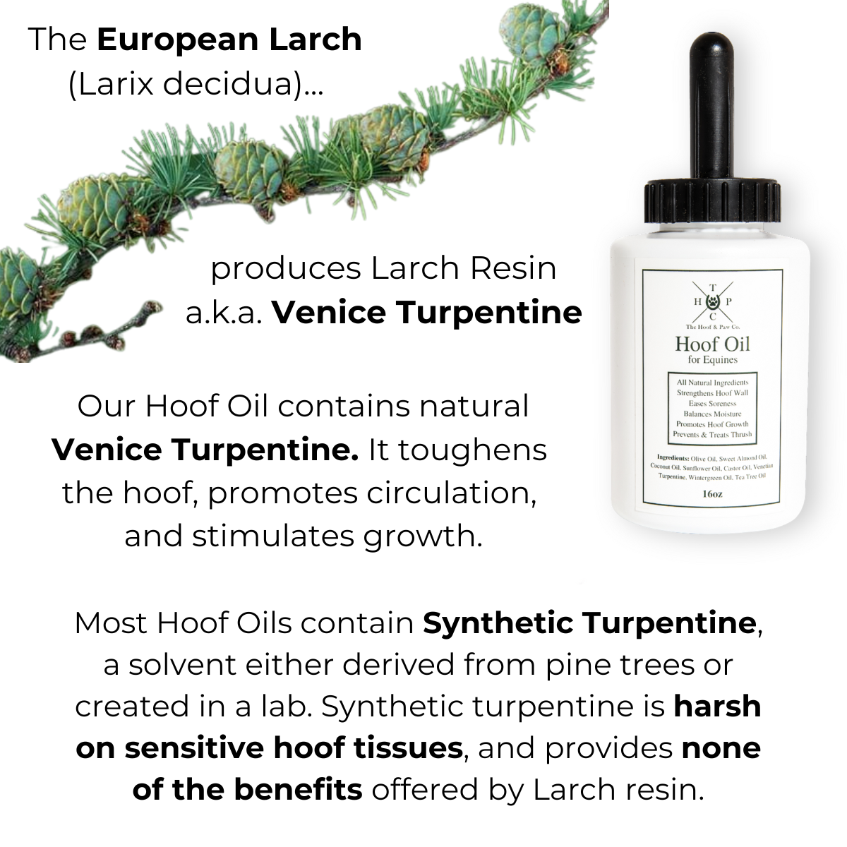 All Natural Hoof Oil - for Horses - 16oz  