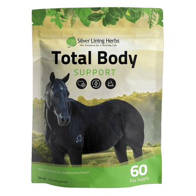 Total Body Support for Horses - Equine Exchange Tack Shop