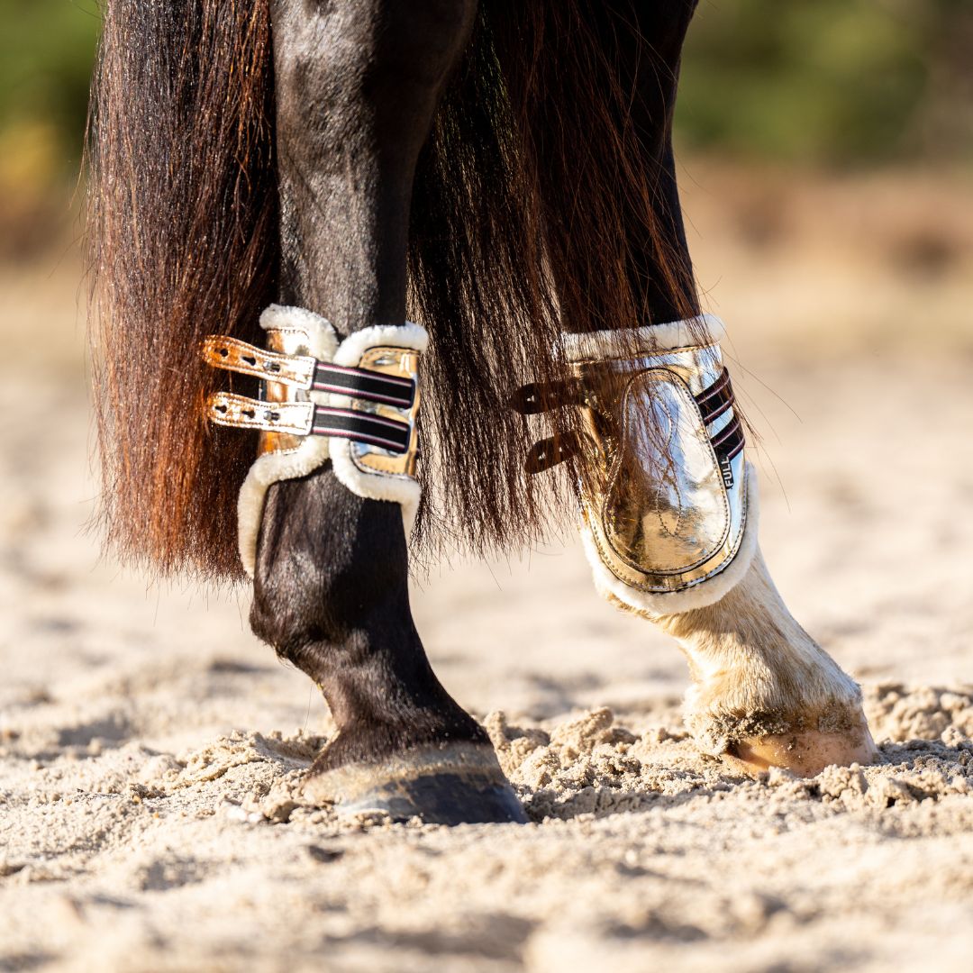Aurum Saddle Pad Set - Equine Exchange Tack Shop