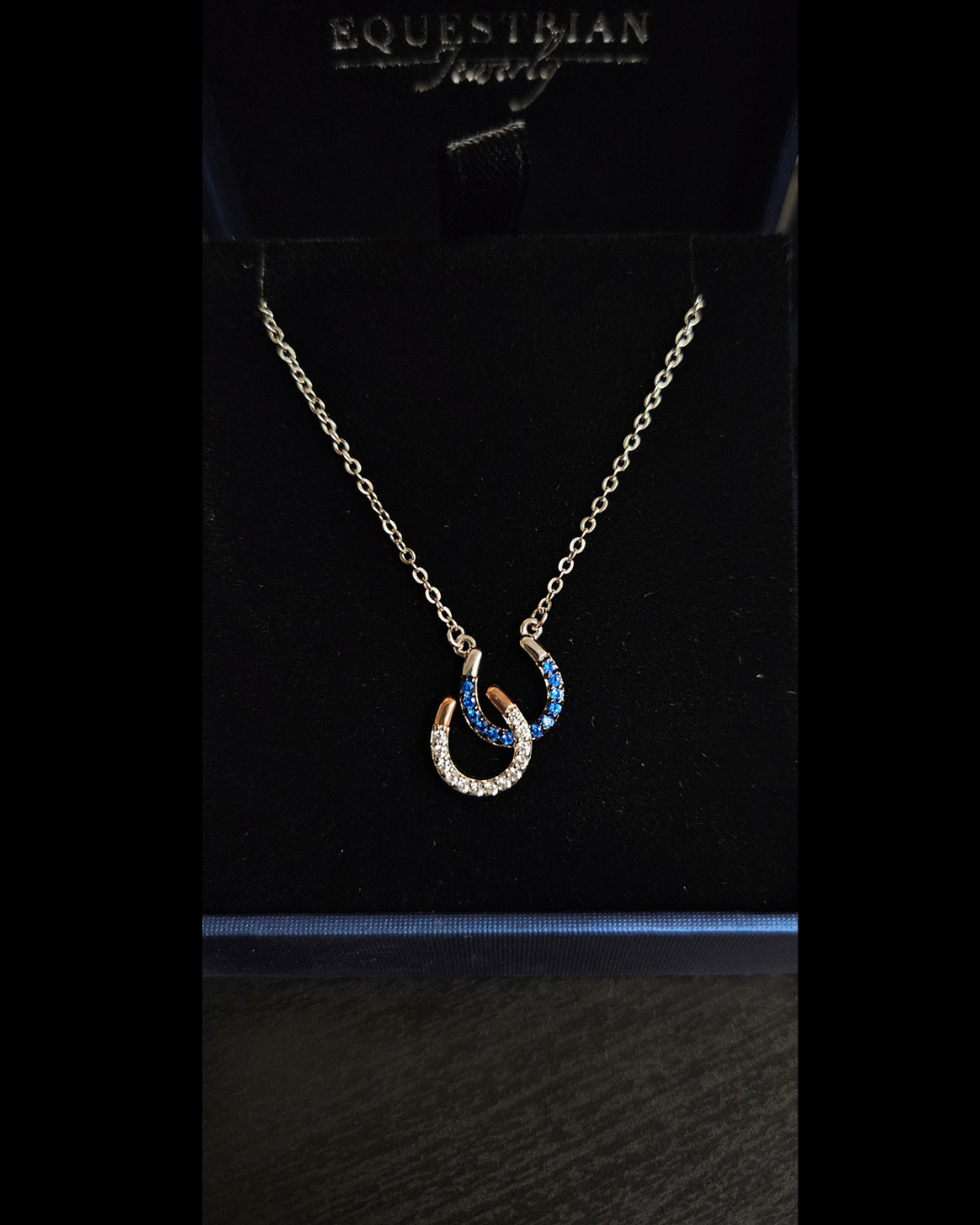 Brass Double Horseshoe Necklace With Clear and Blue Stones