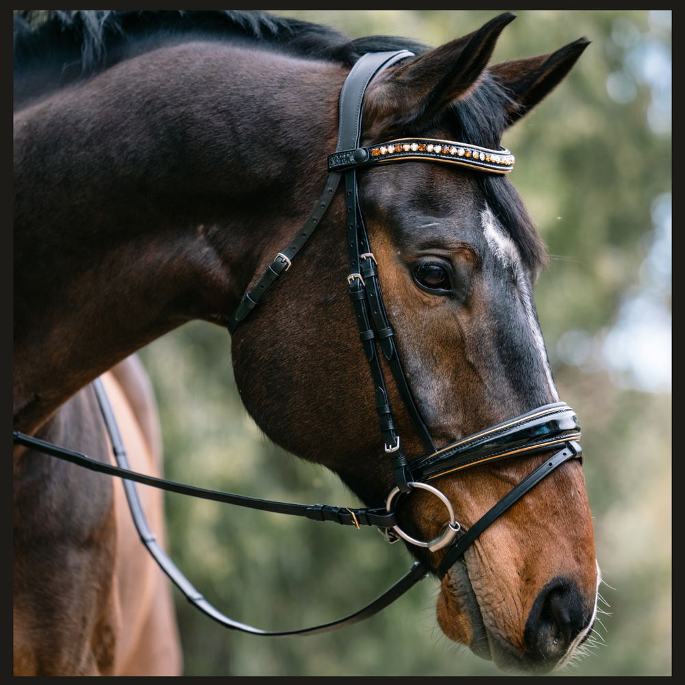 Geneva - Black Patent Snaffle Bridle with Metallic Gold Piping with Removable Flash - Equine Exchange Tack Shop