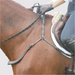 Free Motion Breastplate with Double Neck Strap - Equine Exchange Tack Shop