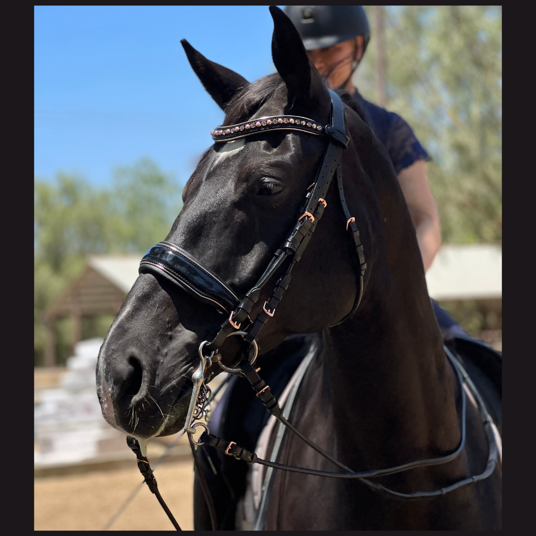 Aurelia Rose Gold Black Patent Double Bridle - Equine Exchange Tack Shop