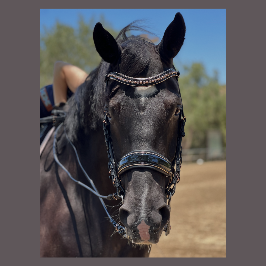 Aurelia Rose Gold Black Patent Double Bridle - Equine Exchange Tack Shop