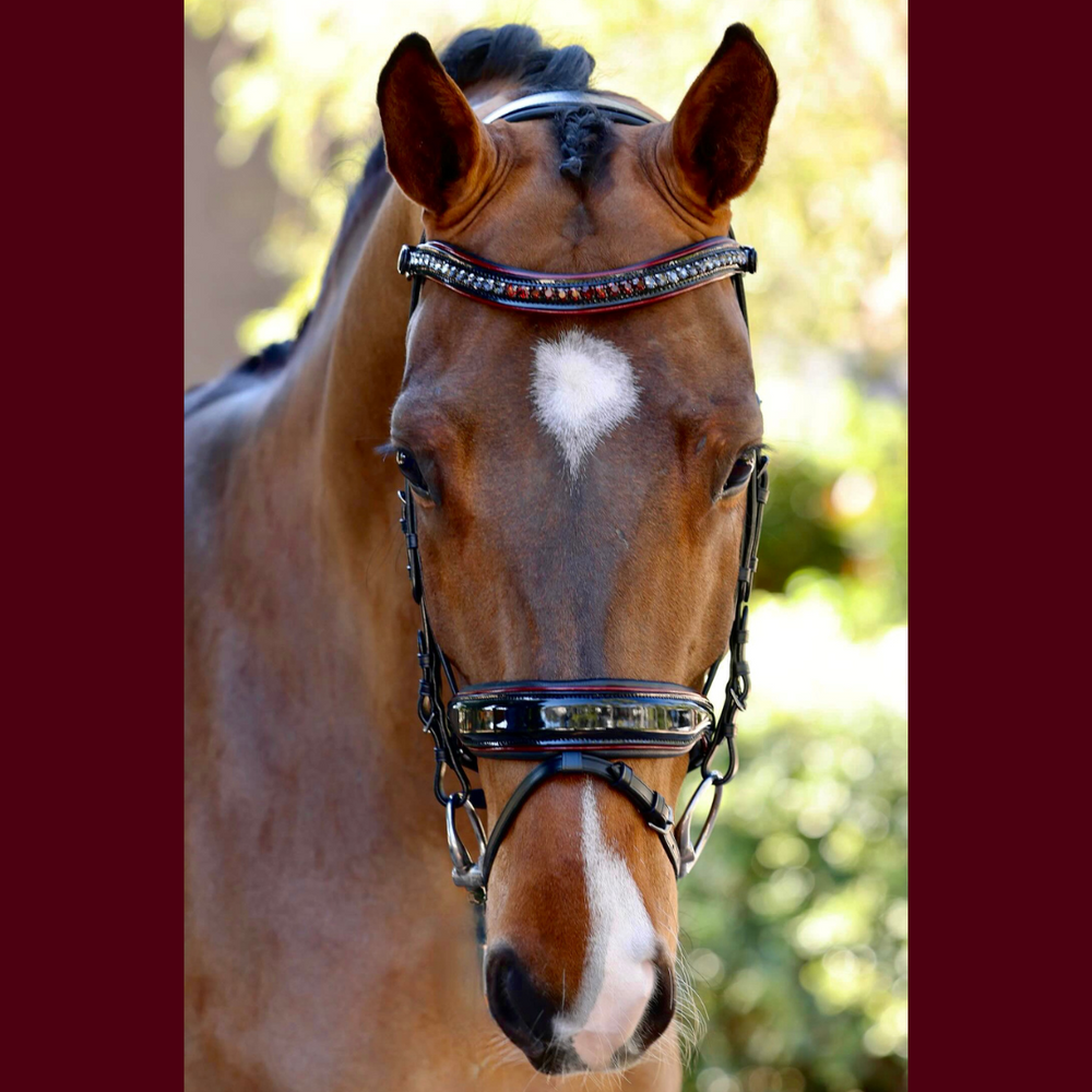 The Hayworth - Black Patent Snaffle with Burgundy Patent Piping & Removable Flash - Equine Exchange Tack Shop