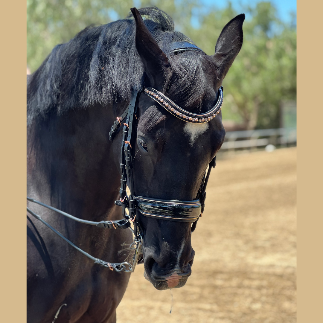 Aurelia Rose Gold Black Patent Double Bridle - Equine Exchange Tack Shop