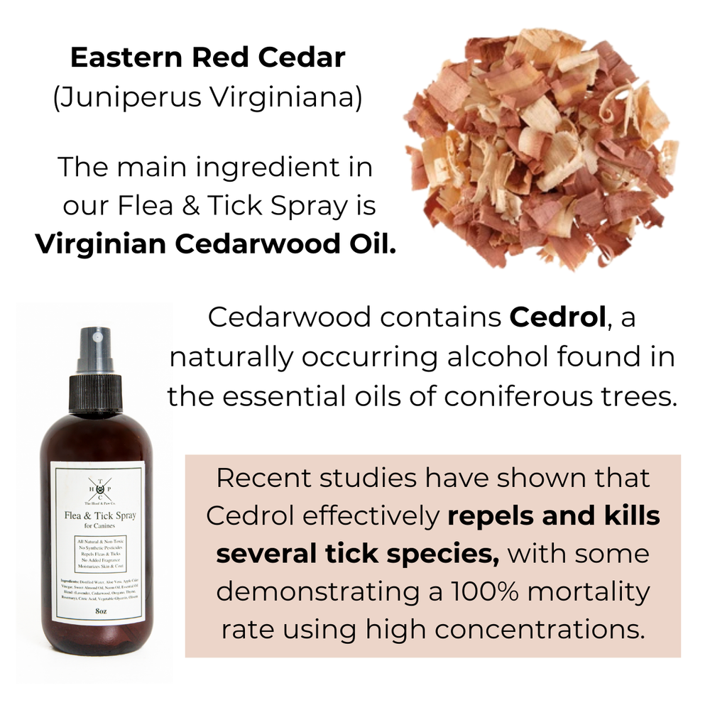 All Natural Flea & Tick Spray - For Dogs - Equine Exchange Tack Shop