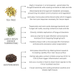 All Natural Hoof Oil - for Horses - 16oz  