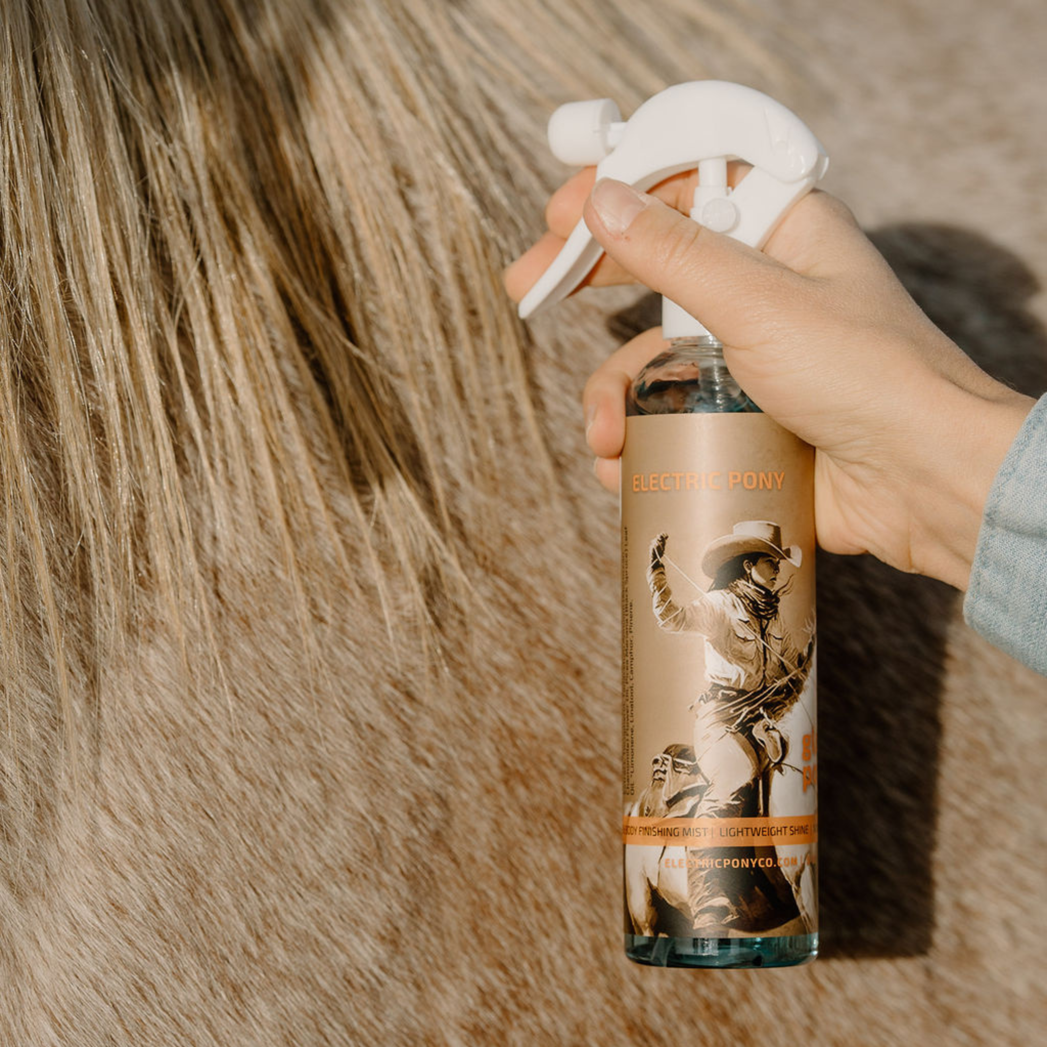 Pony Grooming Trio  