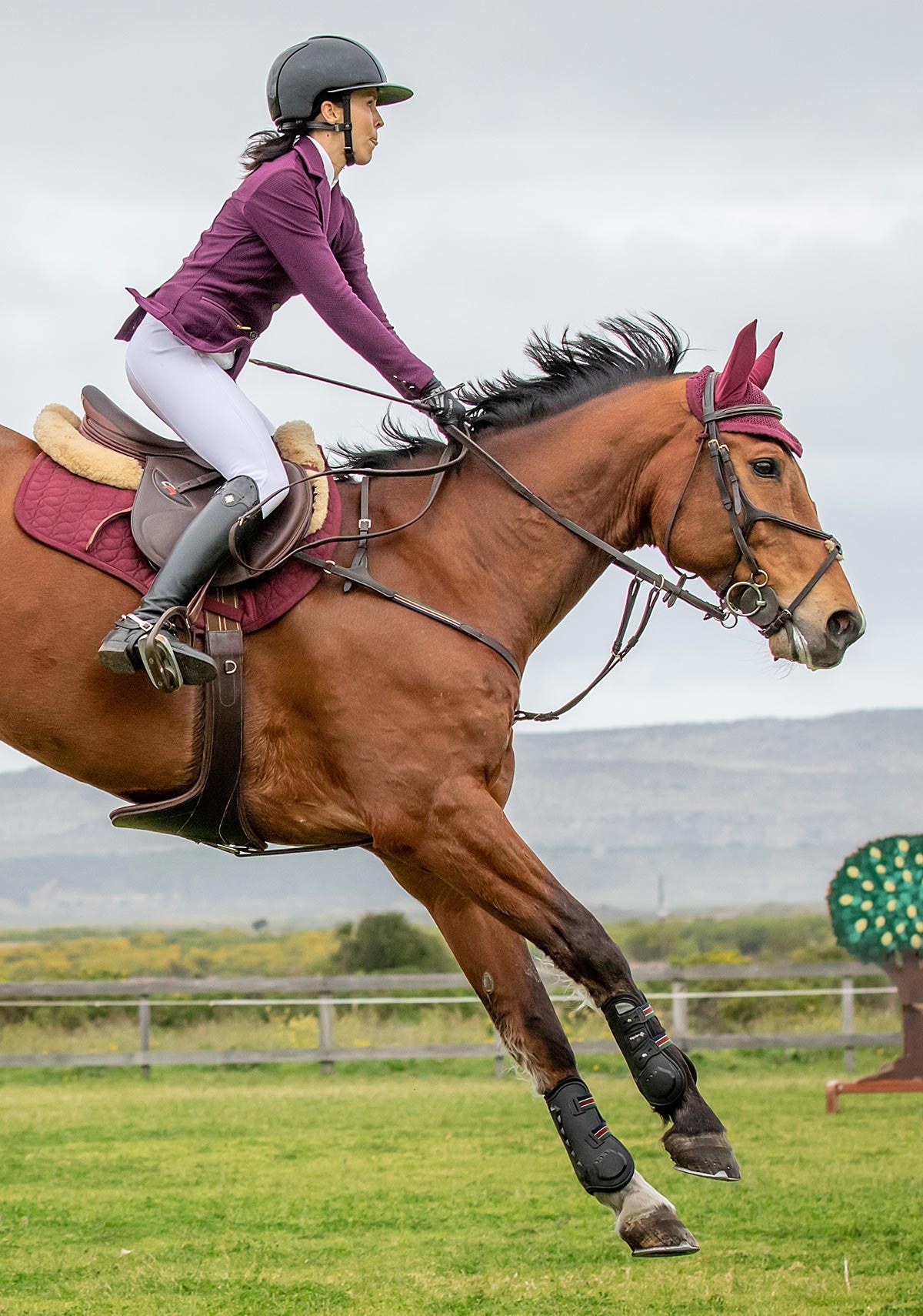 Espoir Inspire Mesh Show Jacket Plum - Equine Exchange Tack Shop