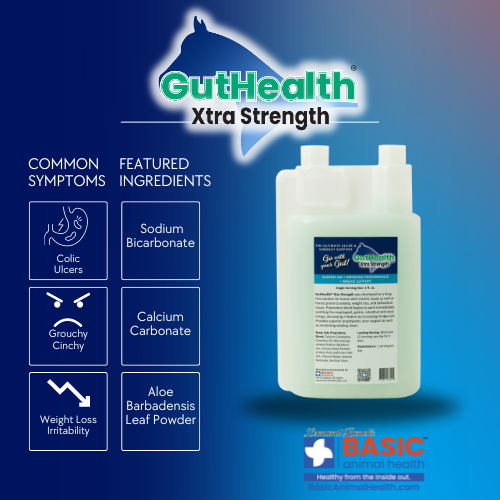GutHealth Xtra Strength Liquid Supplement for Horses - Equine Exchange Tack Shop