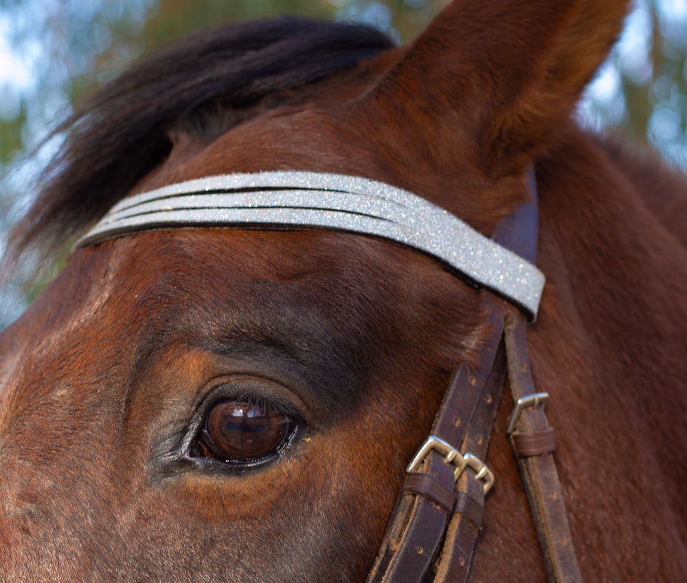 Royal Silver Browband - Equine Exchange Tack Shop