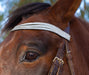 Royal Silver Browband - Equine Exchange Tack Shop