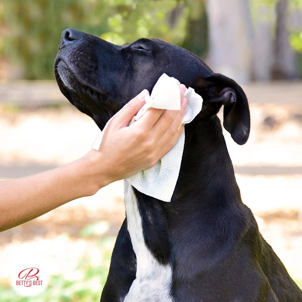Betty's Best Grooming Wipes - Equine Exchange Tack Shop