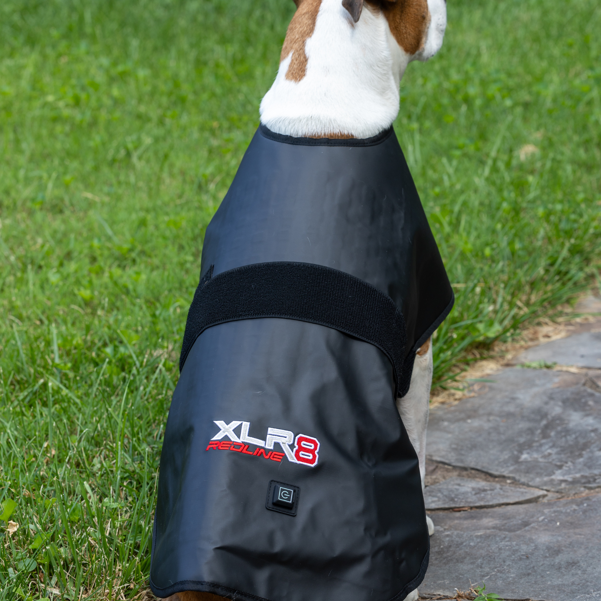 Redline Dog Wrap- Large