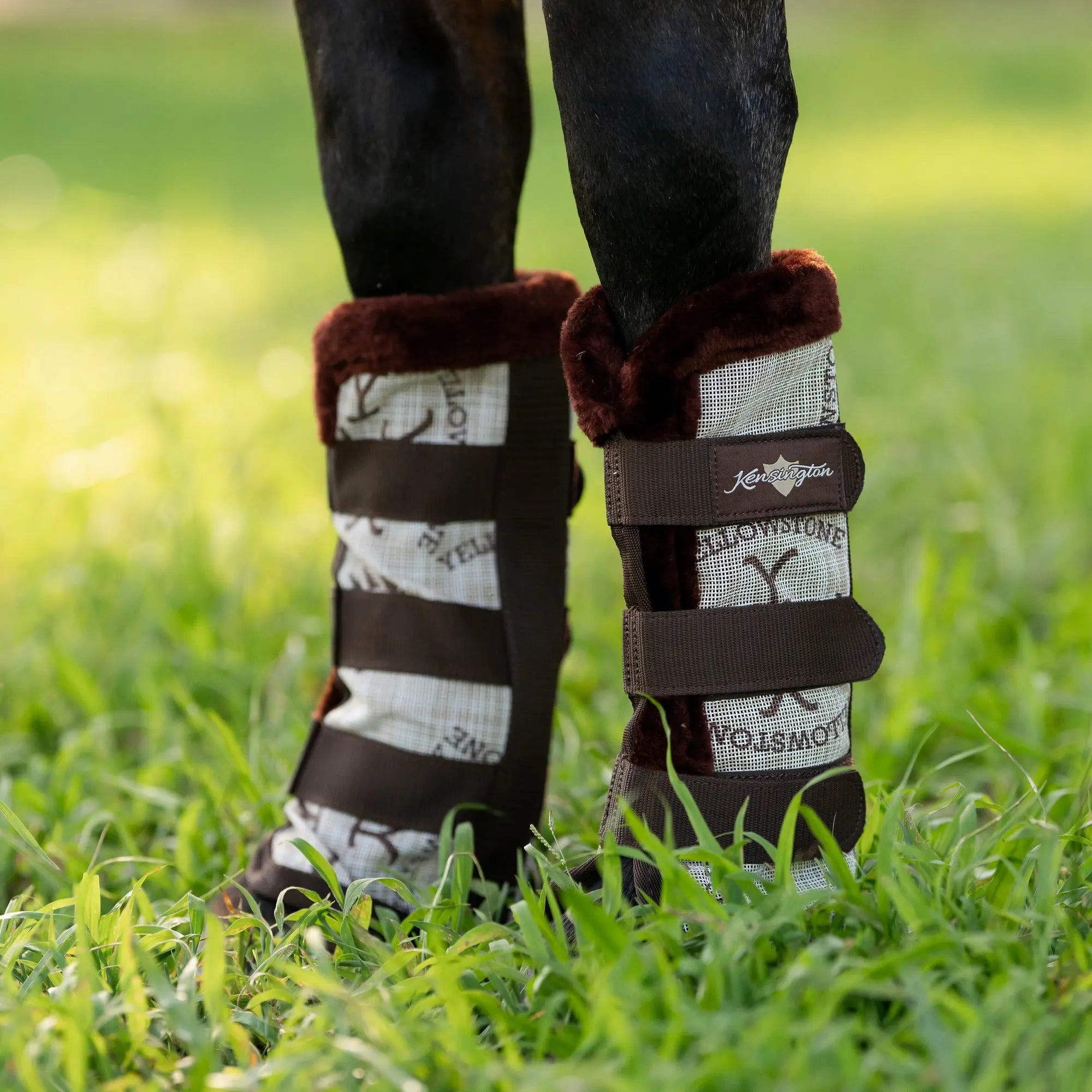 Horse Fly Boots with Fleece - Pair