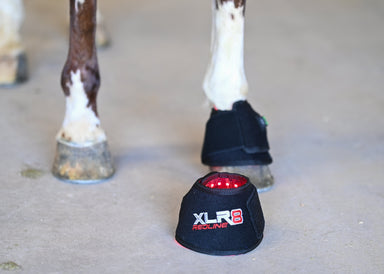Redline Bell Boot - Single - Equine Exchange Tack Shop