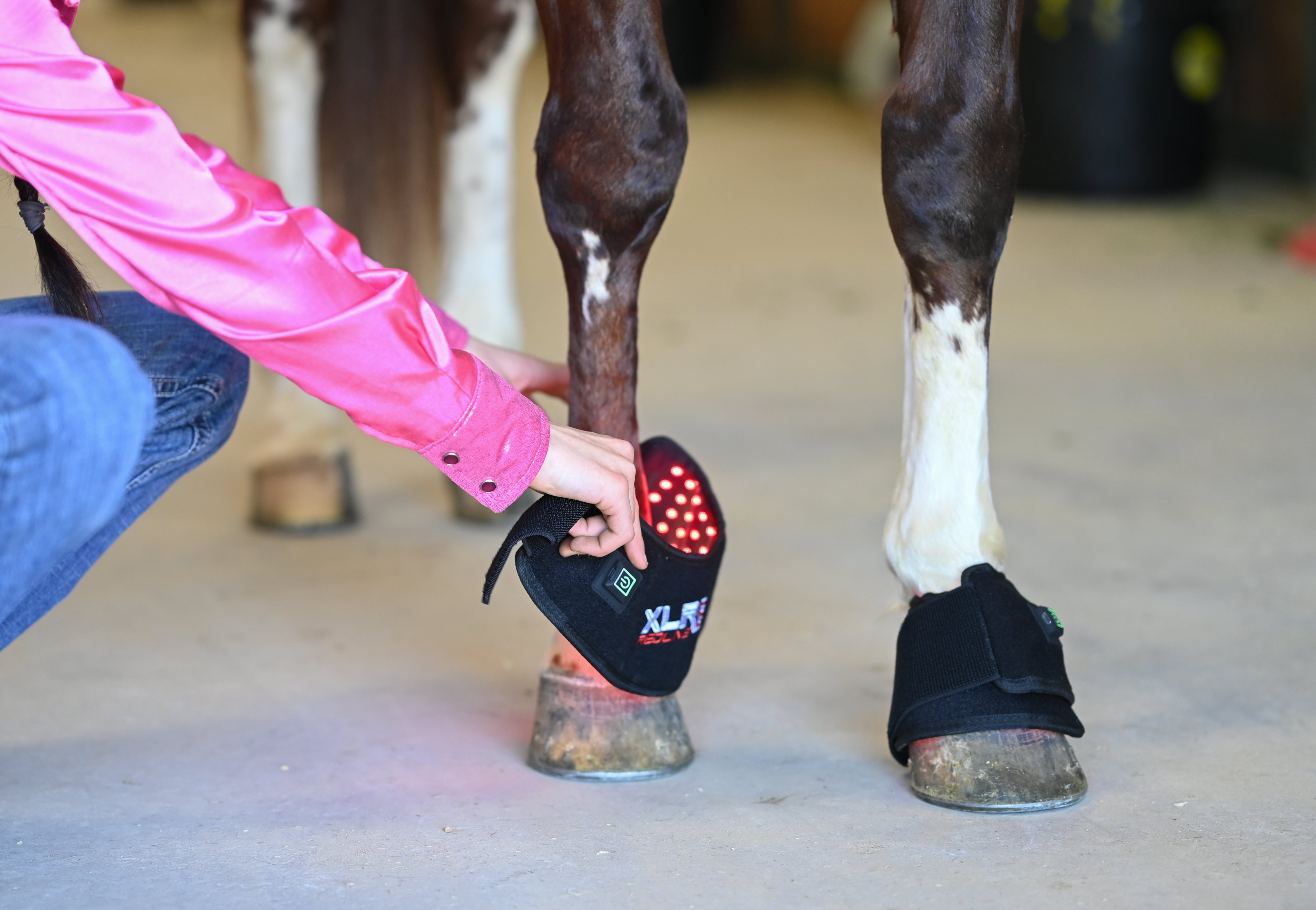 Redline Bell Boot - Pair - Equine Exchange Tack Shop