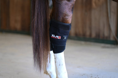 Redline Hock Boot - Single - Equine Exchange Tack Shop
