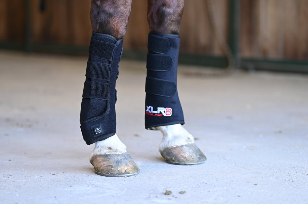 Redline Tendon Wrap -Single - Equine Exchange Tack Shop