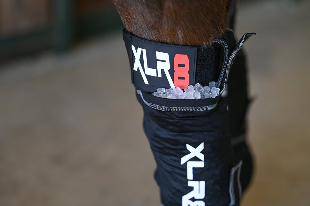 Cryo Boot : Ice Boots - Equine Exchange Tack Shop