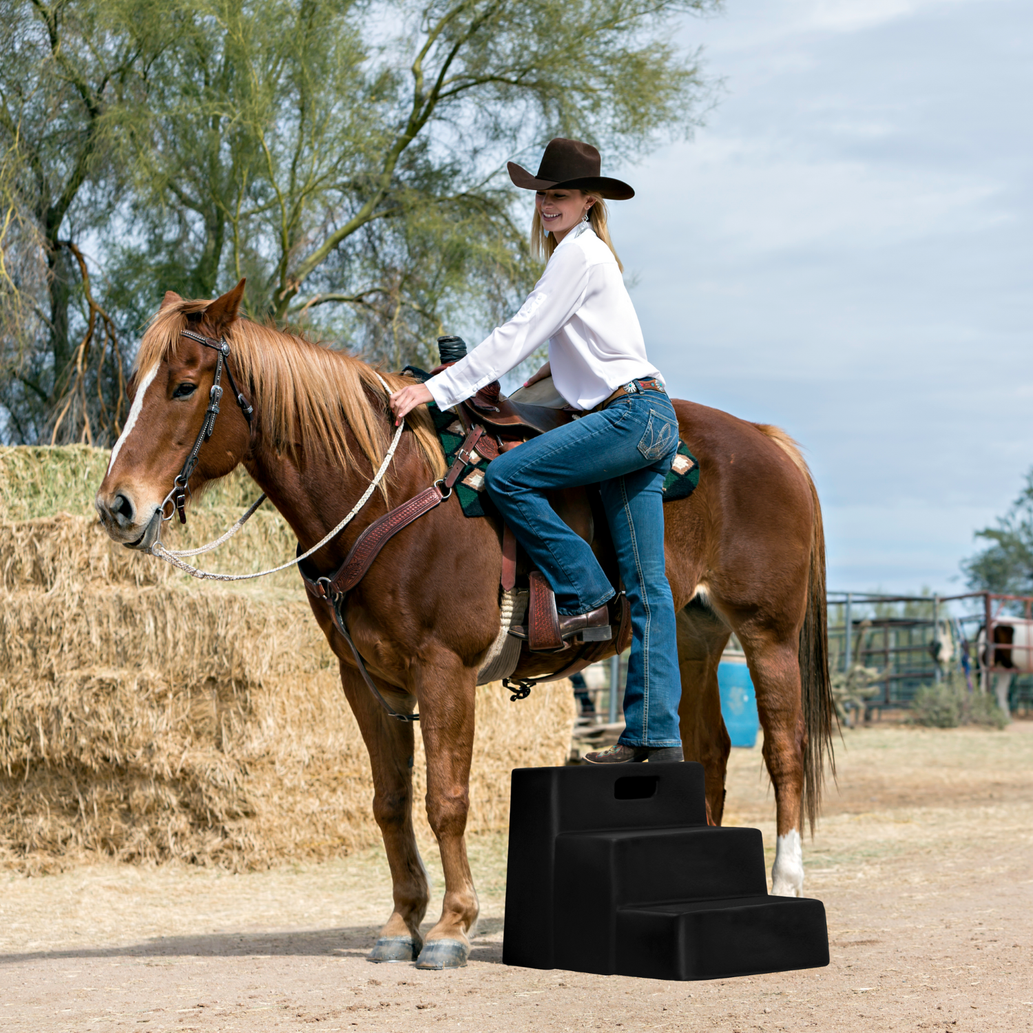 Mounting 3 Step - Equine Exchange Tack Shop