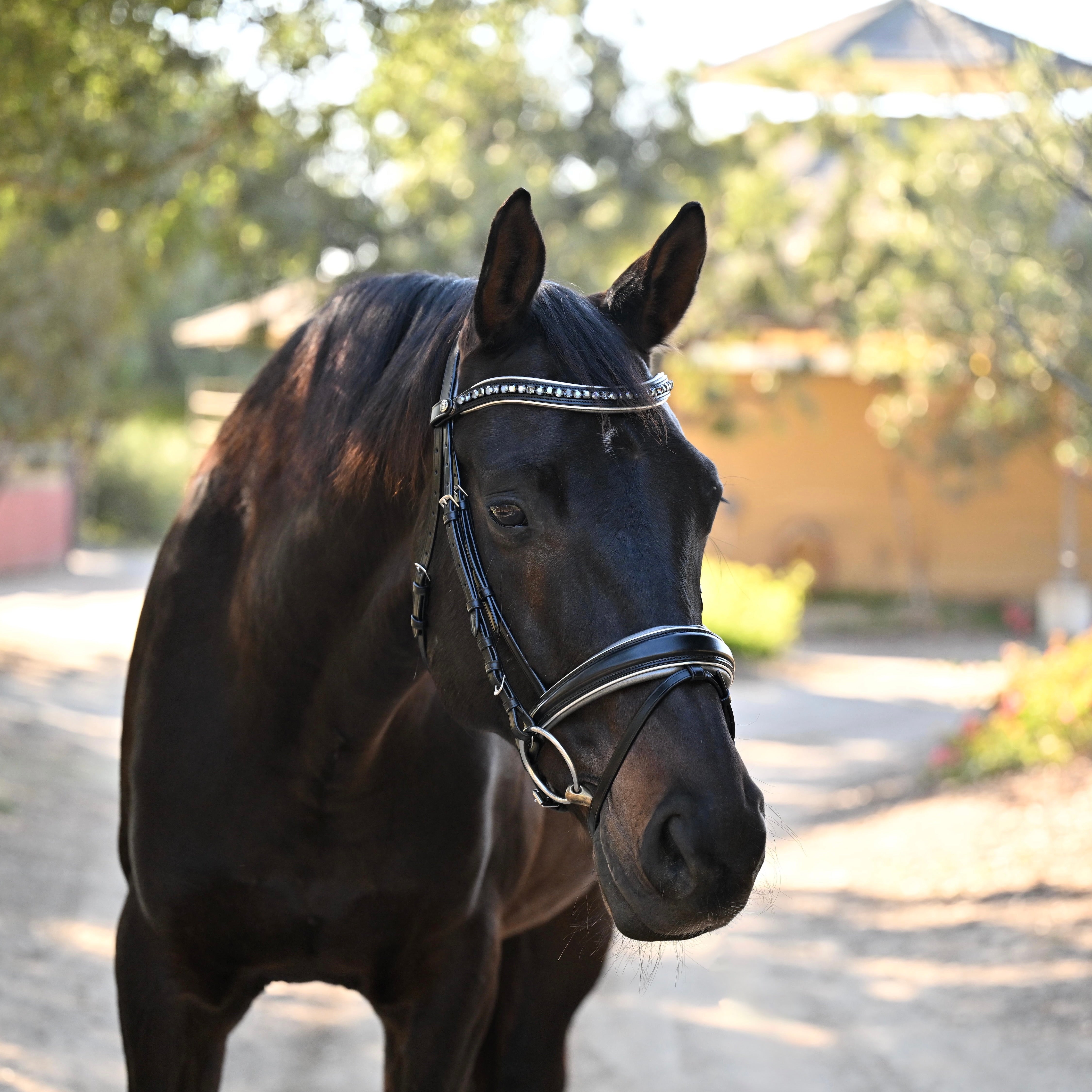 The Eiffel Tower Black Leather Dressage Bridle - Equine Exchange Tack Shop
