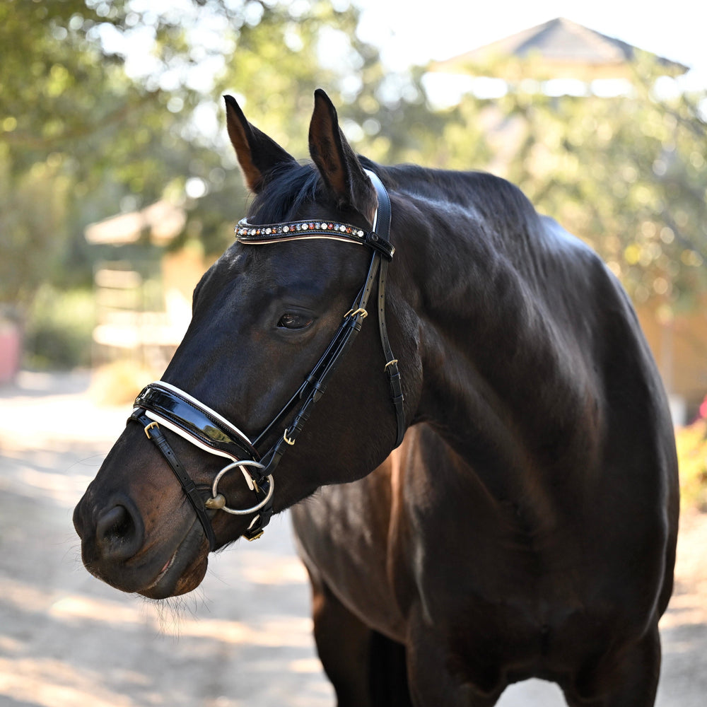 Taos Black Patent Leather Snaffle Bridle - Equine Exchange Tack Shop
