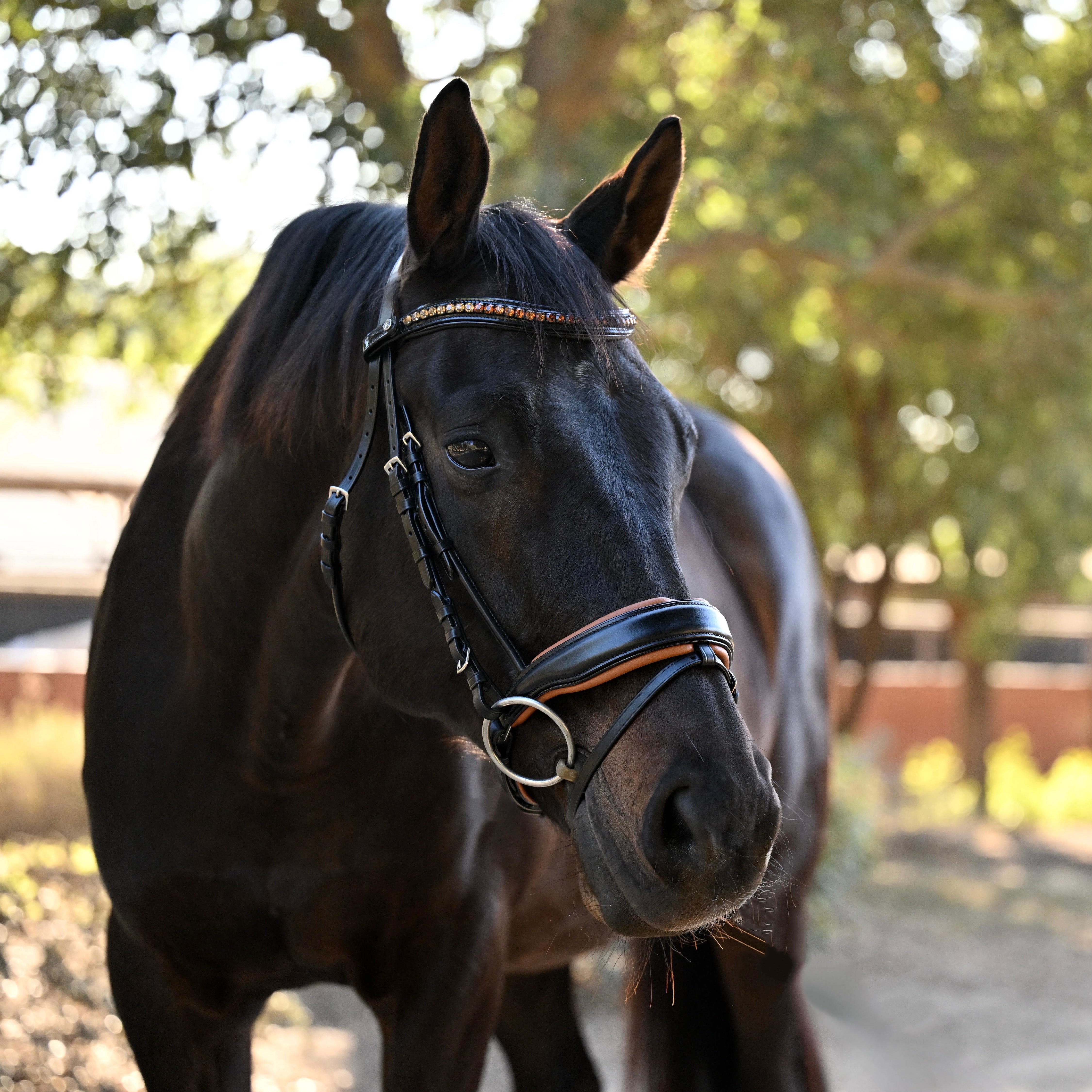 The Tuscany Black Leather Rolled Leather Snaffle Bridle with Removable Flash - Equine Exchange Tack Shop