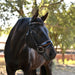 The Tuscany Black Leather Rolled Leather Snaffle Bridle with Removable Flash - Equine Exchange Tack Shop