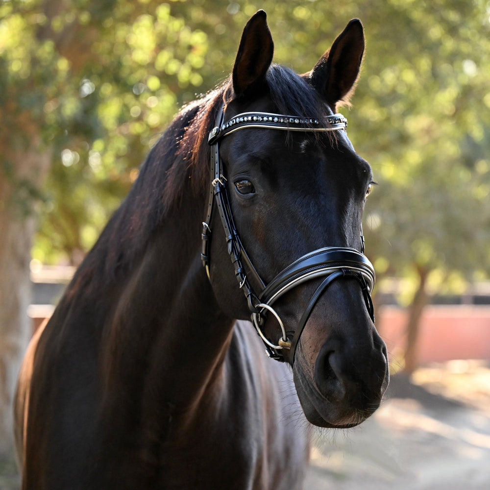 The Eiffel Tower Black Leather Snaffle Bridle - Equine Exchange Tack Shop