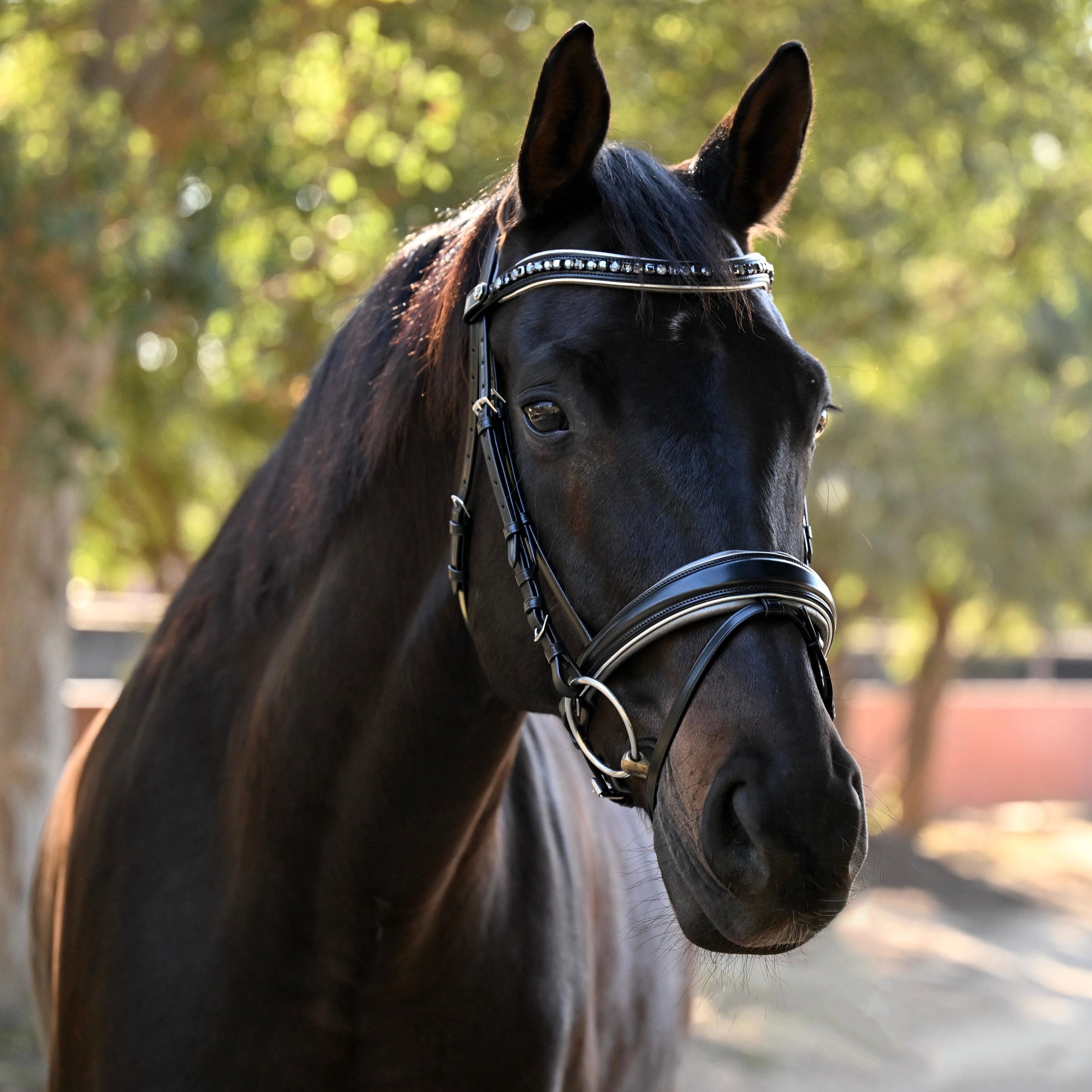 The Eiffel Tower Black Leather Dressage Bridle - Equine Exchange Tack Shop