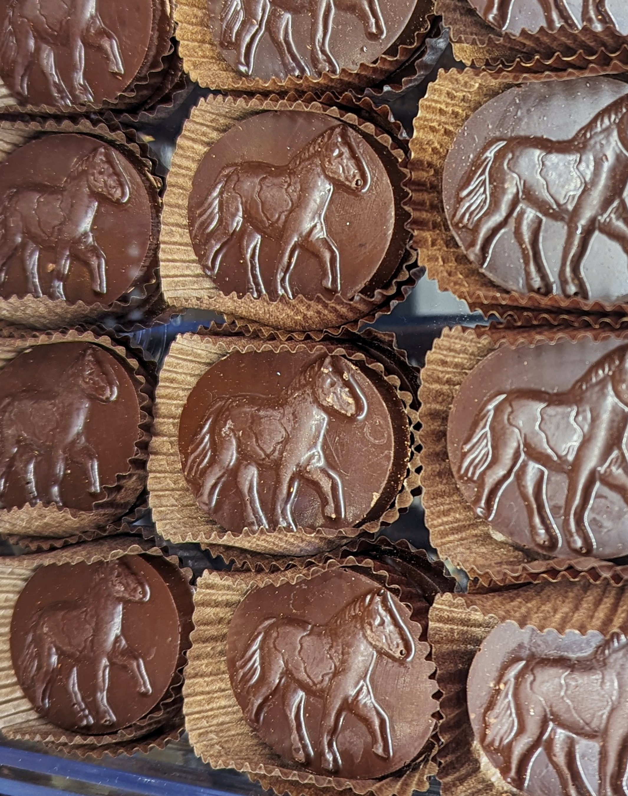 Dark Chocolate 16 Pcs Peppermint Ponies - Equine Exchange Tack Shop