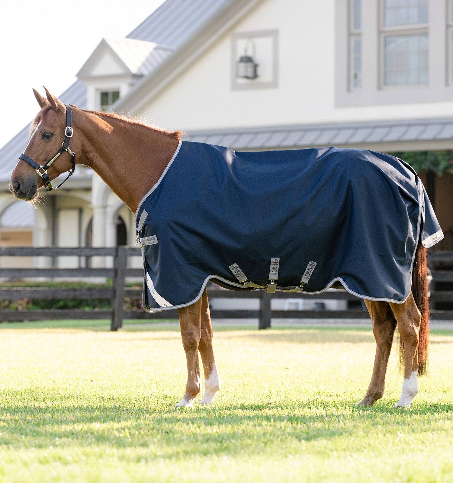 Amigo® 1200D 50G Turnout Blanket