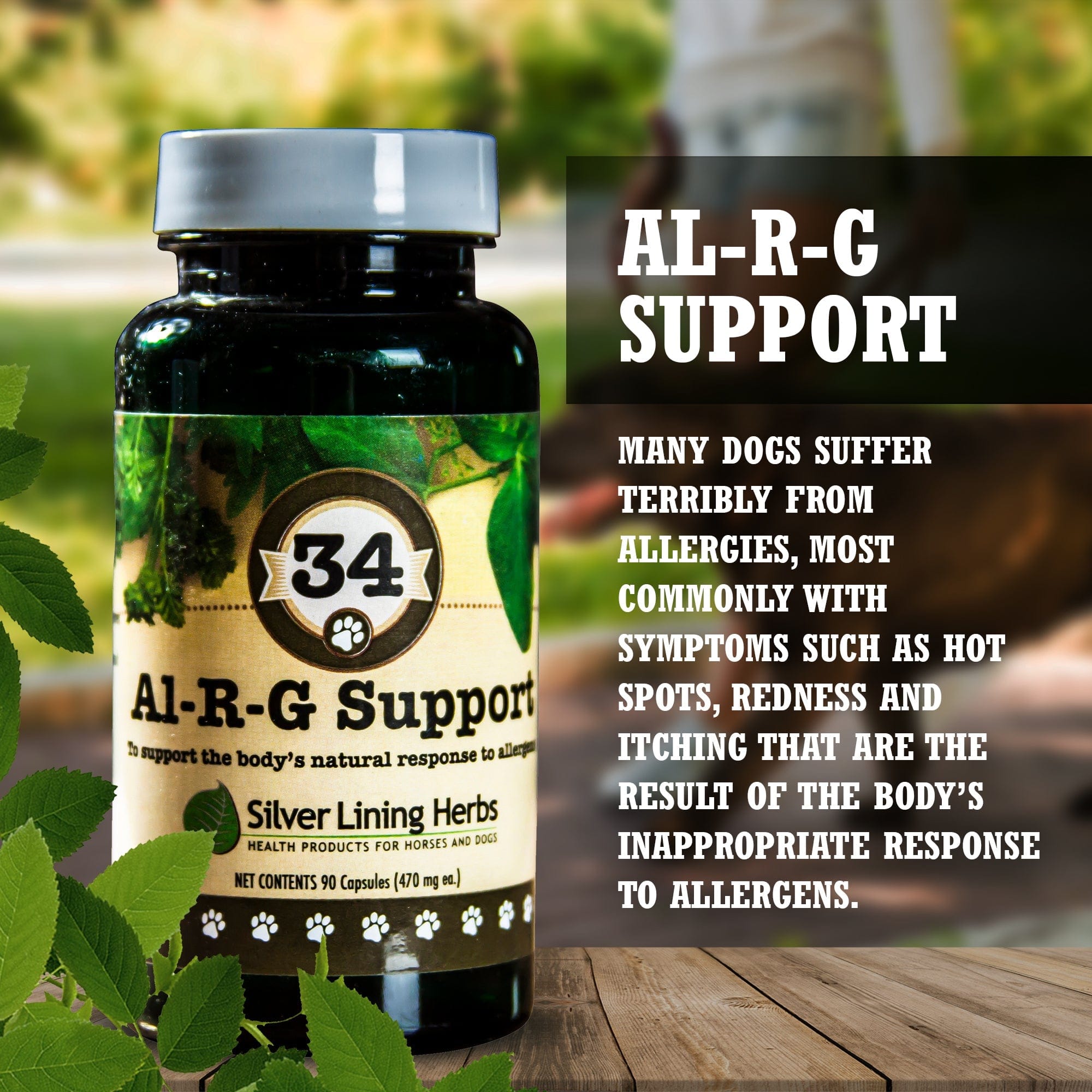 Al-R-G Support for Canines - Equine Exchange Tack Shop