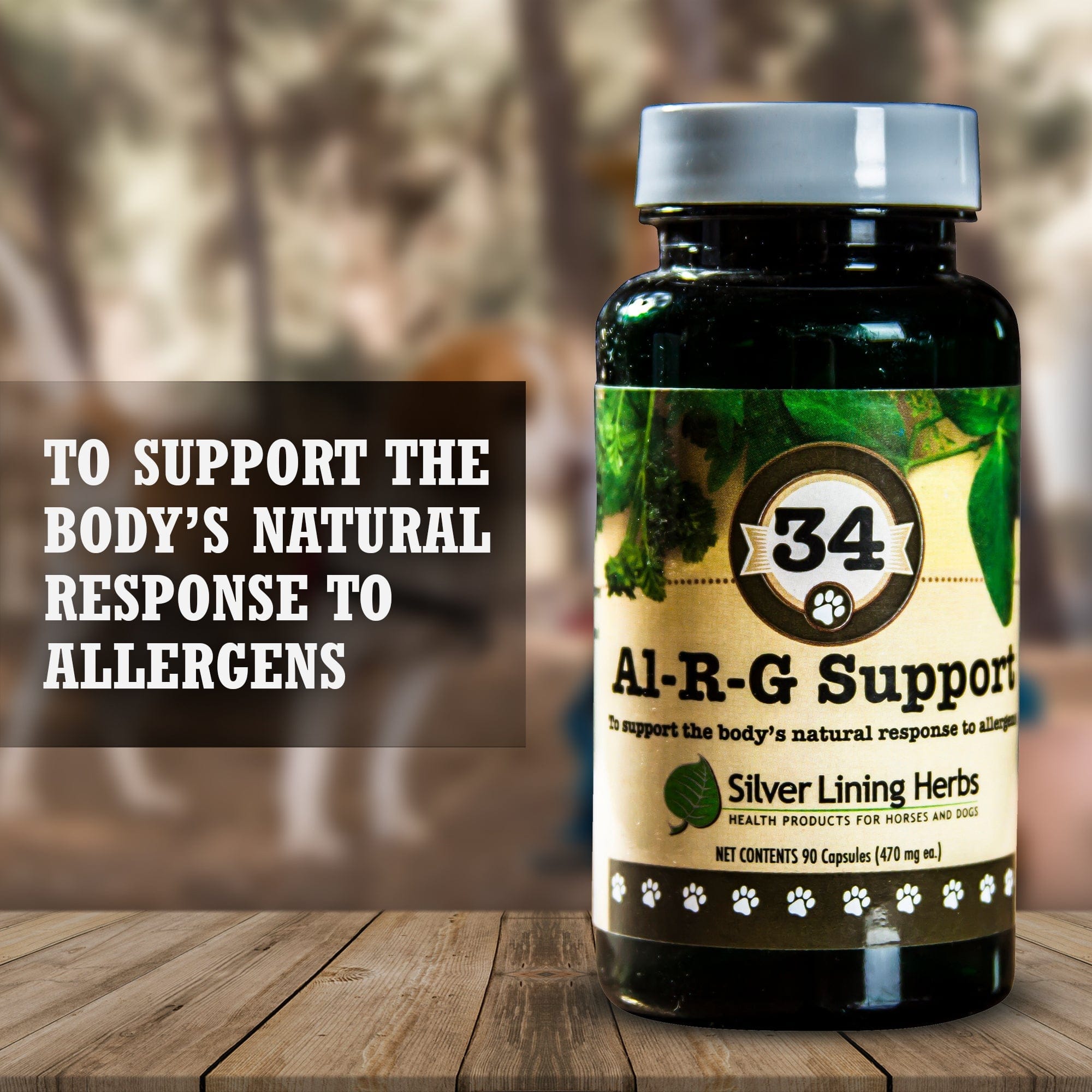 Al-R-G Support for Canines - Equine Exchange Tack Shop