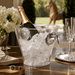 Horse Head Handle Acrylic Ice Bucket  
