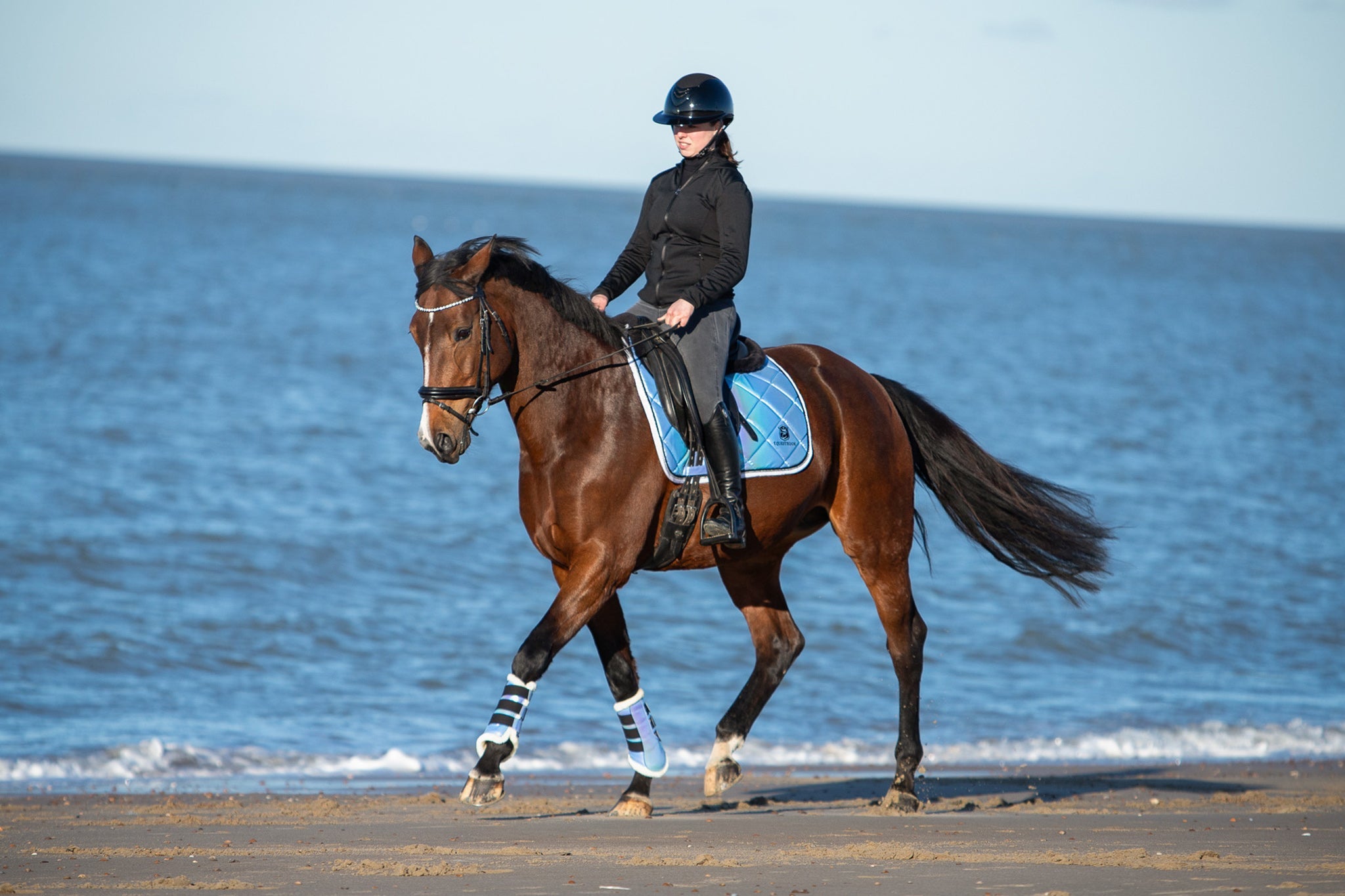 Azurine Saddle Pad Set - Equine Exchange Tack Shop