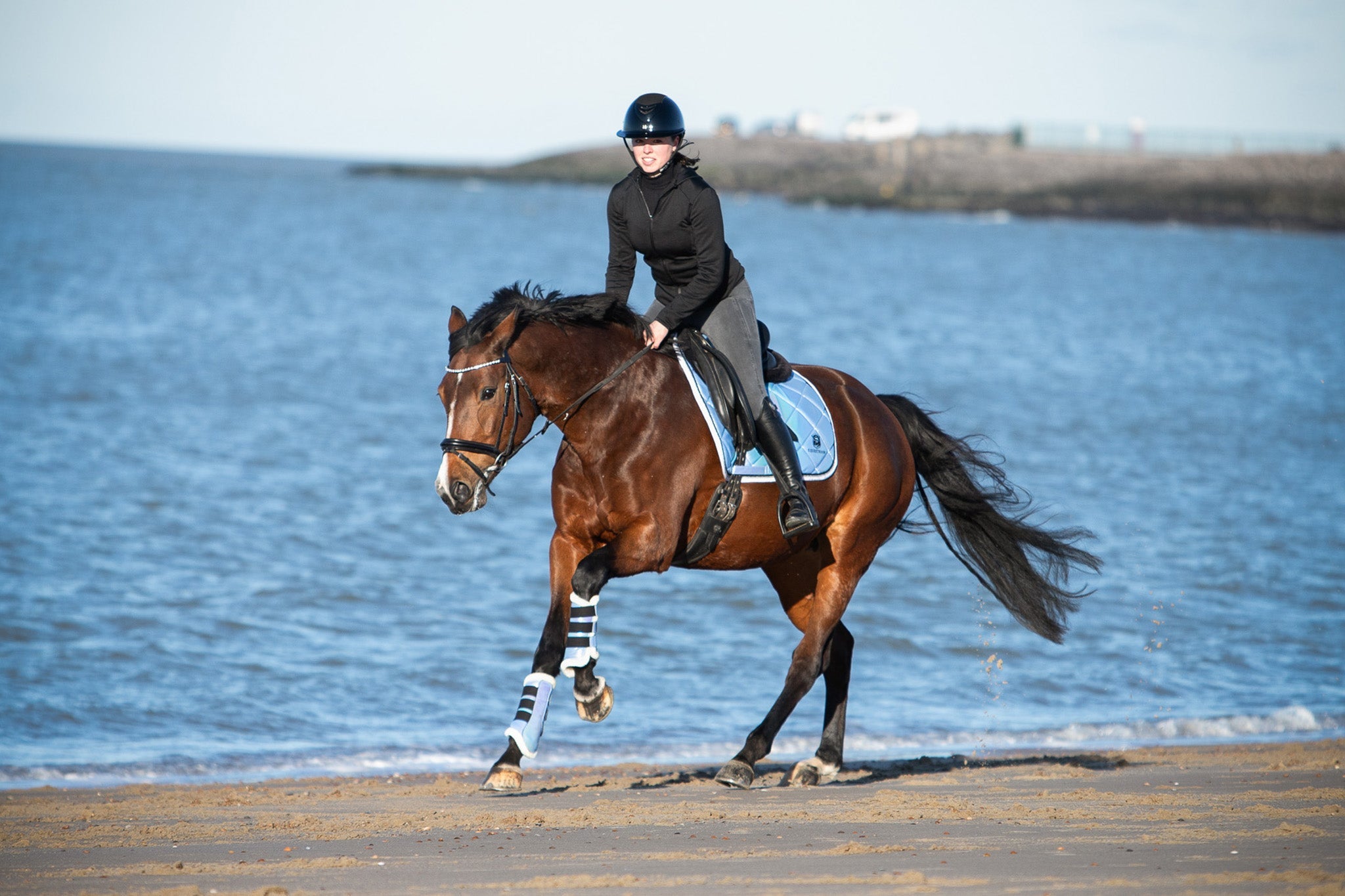 Azurine Brushing Boots - Equine Exchange Tack Shop