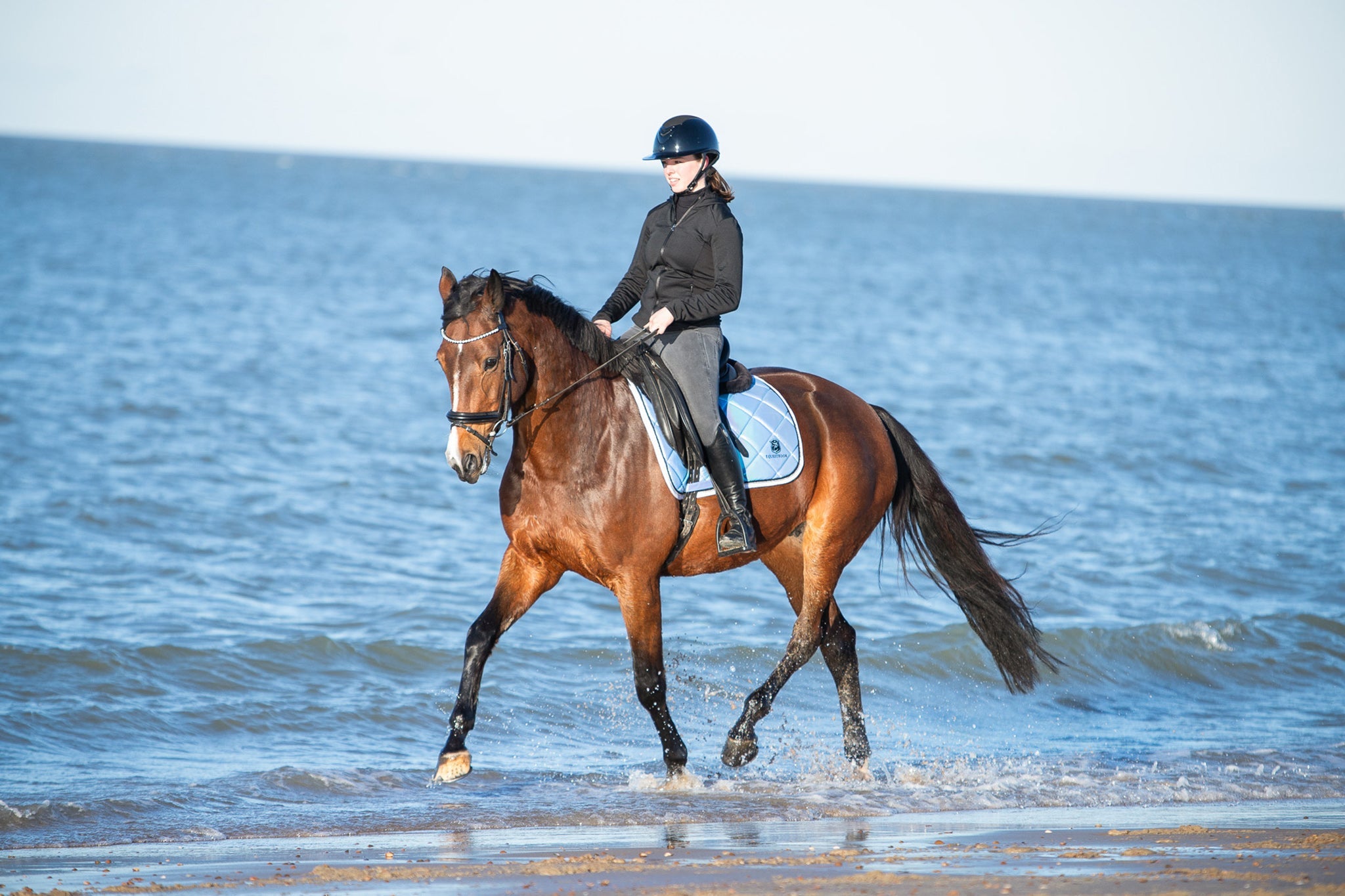 Azurine Saddle Pad Set - Equine Exchange Tack Shop
