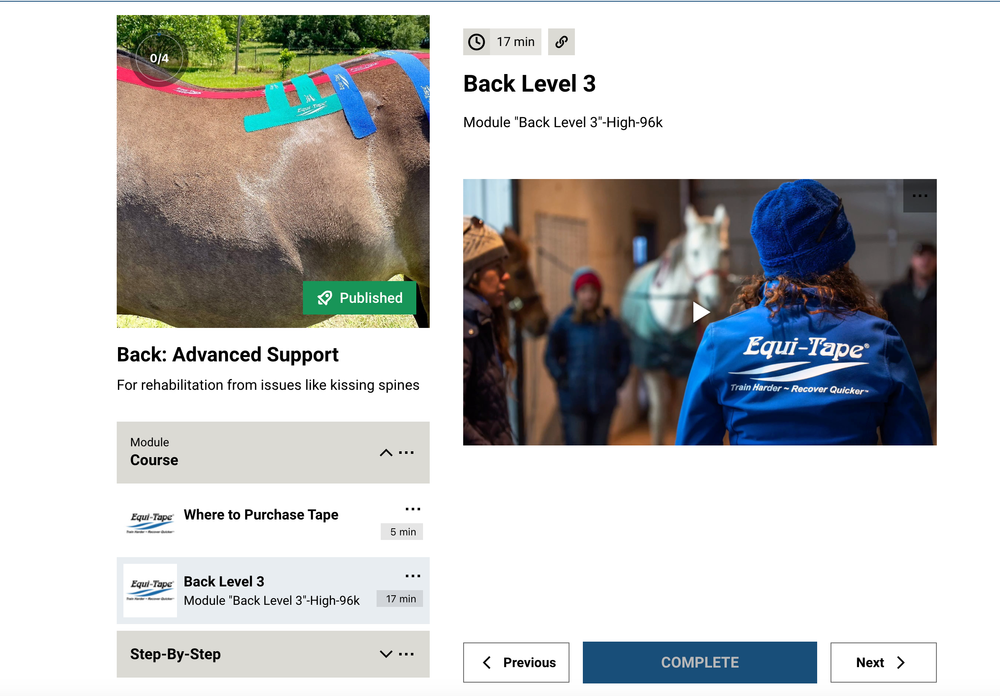 Module: The Back - Equine Exchange Tack Shop