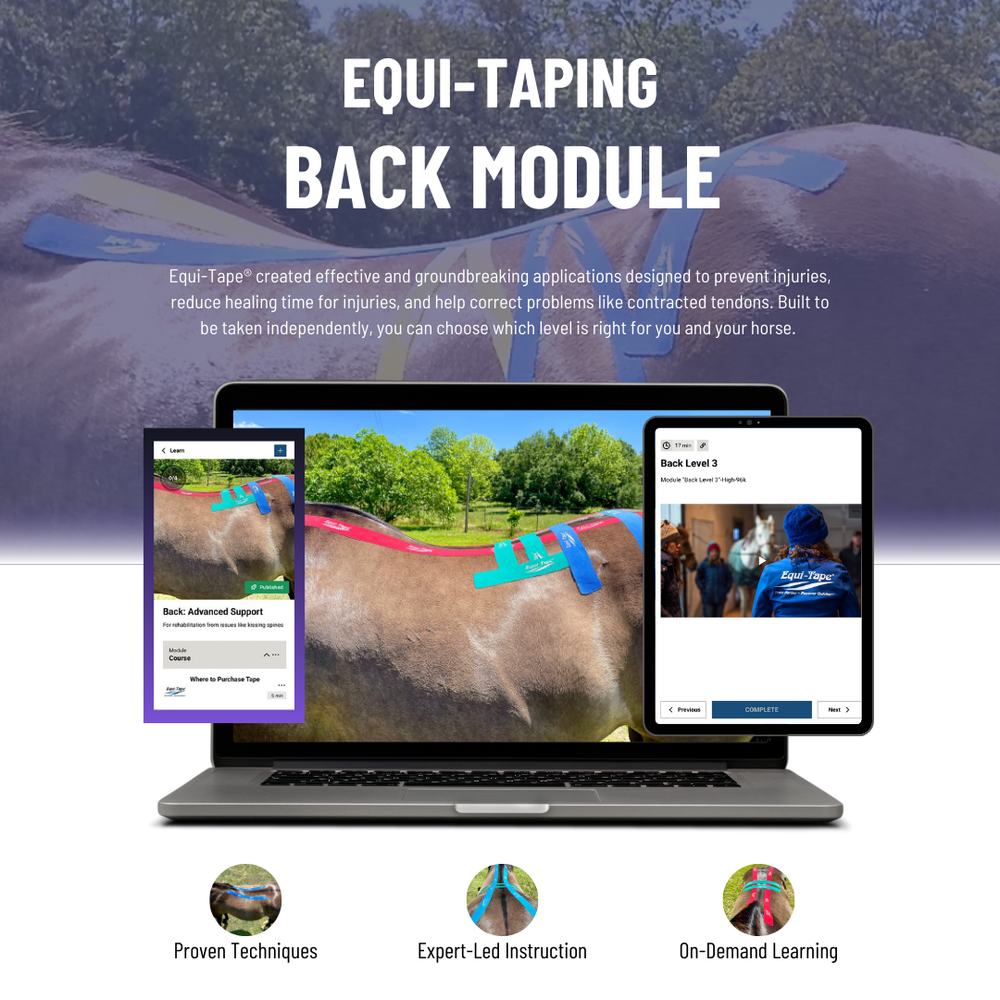 Module: The Back - Equine Exchange Tack Shop