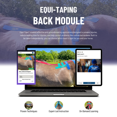 Module: The Back - Equine Exchange Tack Shop