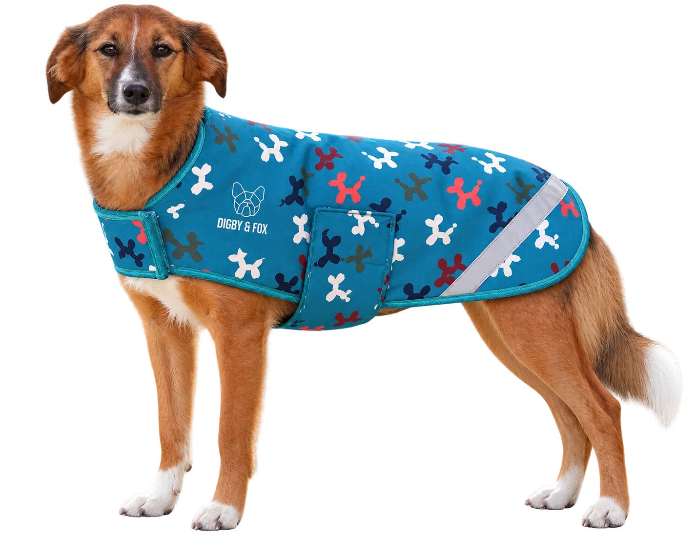 Digby and Fox Waterproof Dog Coat