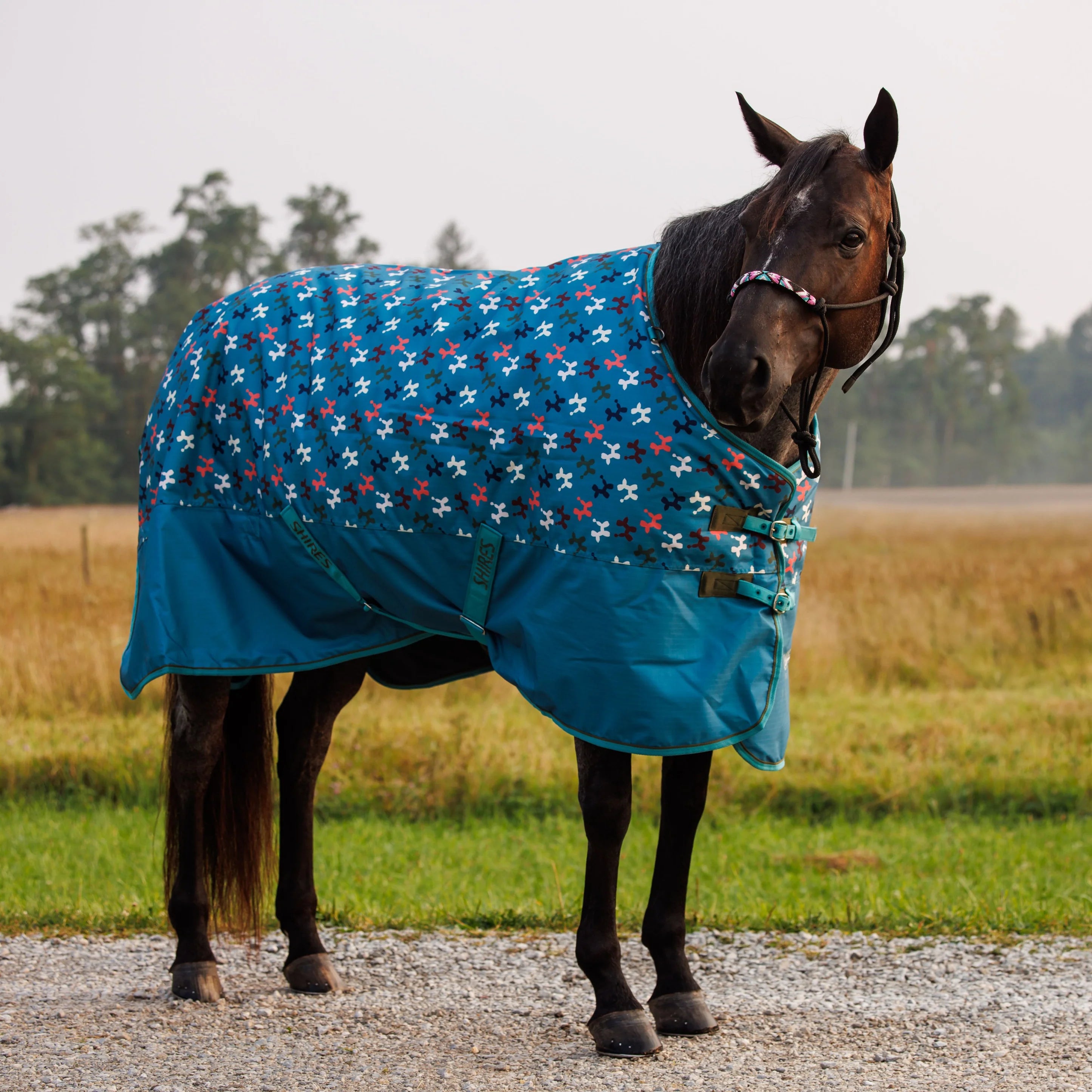 Tempest Waterproof Turnout Sheet - Seasonal Patterns
